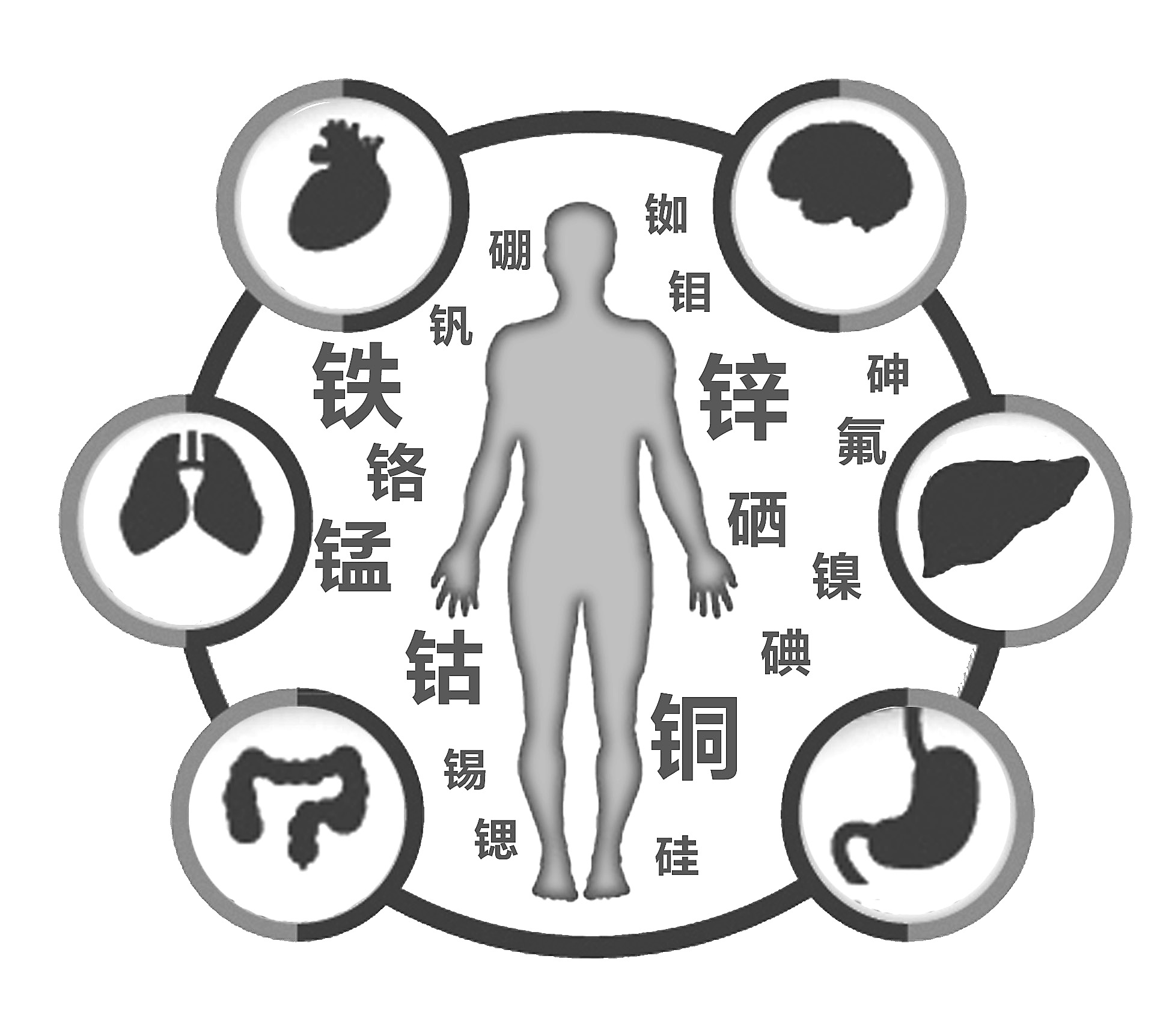 榴莲视频app色版网站检查有必要吗 榴莲视频app色版网站检查有必要吗