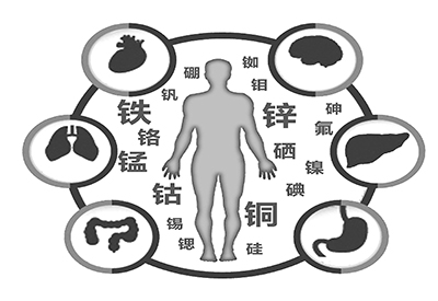 医用榴莲app破解版微量元素是什么怎么补 医用榴莲app破解版微量元素是什么怎么补