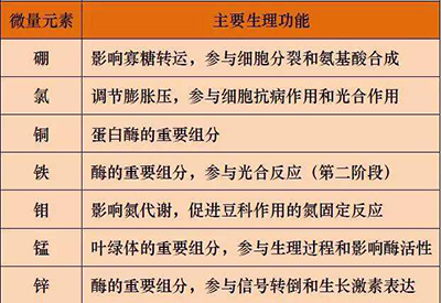 全自动榴莲app破解版厂家微量元素的对人体的生理作用 全自动榴莲app破解版厂家微量元素的对人体的生理作用
