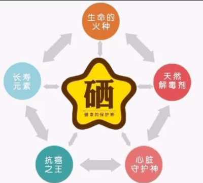 素分析仪,医用榴莲视频app色版网站,人体微